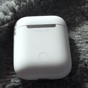 Apple White Earbuds Case